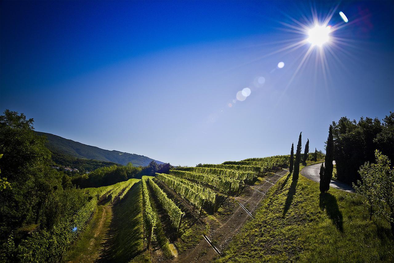 Venica & Venica Wine Resort Dolegna del Collio Экстерьер фото